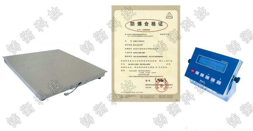 防爆平臺(tái)秤