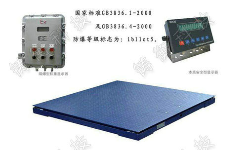防爆型單層電子平臺秤