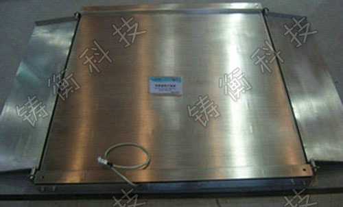 電子平臺(tái)秤